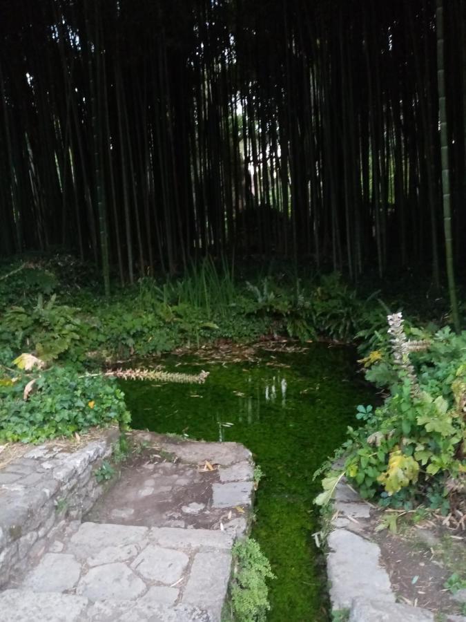 La Bella Ninfa Bed & Breakfast Sermoneta Ngoại thất bức ảnh